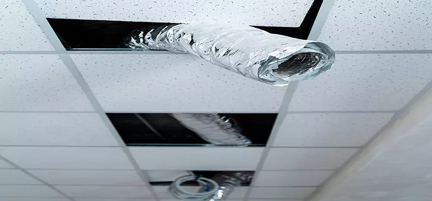 Our Air Duct Pet Hair Removal Services in Erie, PA