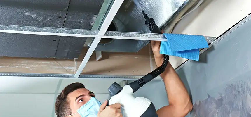Our Air Duct Rodent Removal Services in Erie, PA
