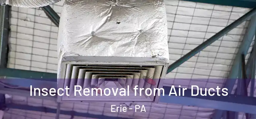 Insect Removal from Air Ducts Erie - PA