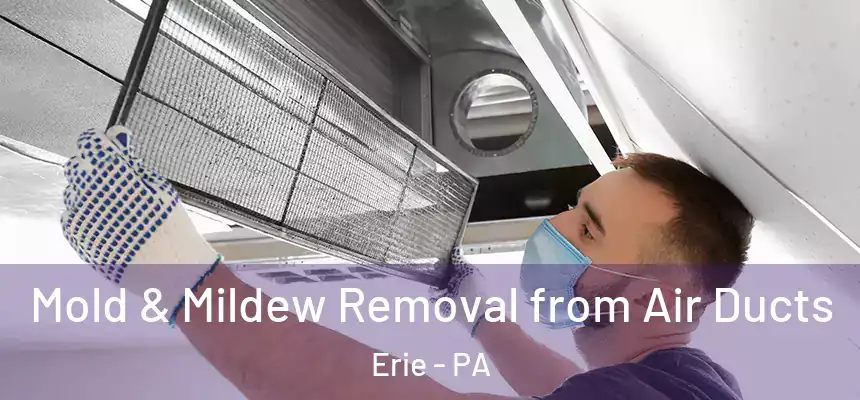 Mold & Mildew Removal from Air Ducts Erie - PA