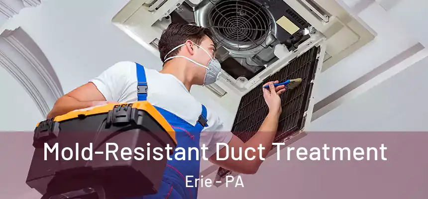  Mold-Resistant Duct Treatment Erie - PA
