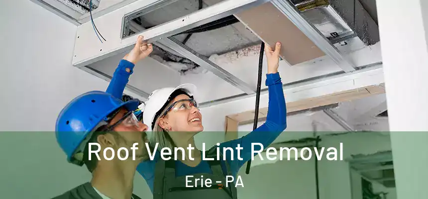 Roof Vent Lint Removal Erie - PA