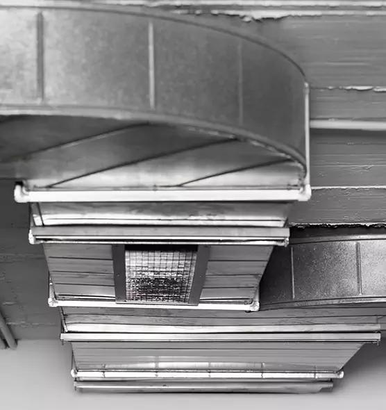 Professional Air Duct Pet Hair Removal in Erie, PA