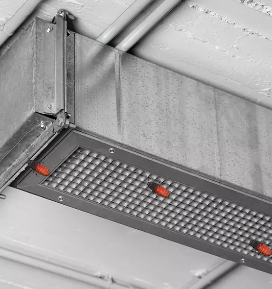 Affordable Insect Removal from Air Ducts in Erie, PA
