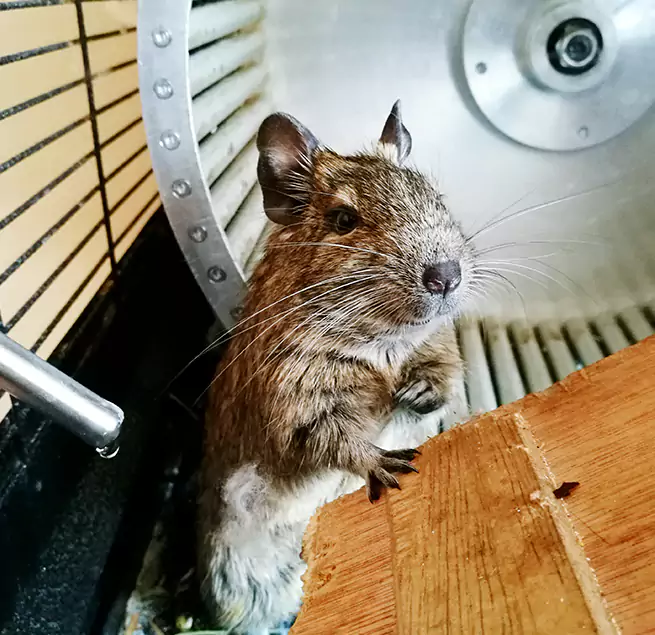 Why Homeowners & Businesses Trust Us Erie, PA?