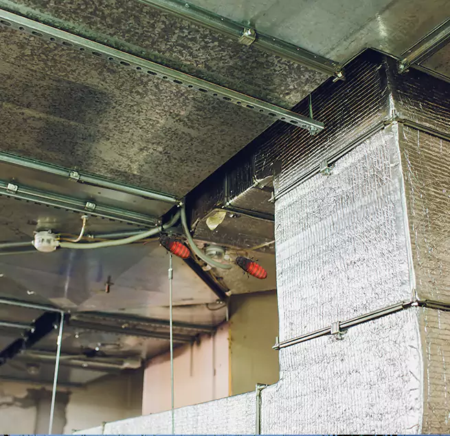 Why Homeowners & Businesses Trust Us Erie, PA?